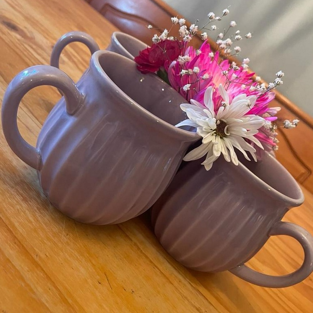 The Pioneer Woman  Colette Purple Mugs